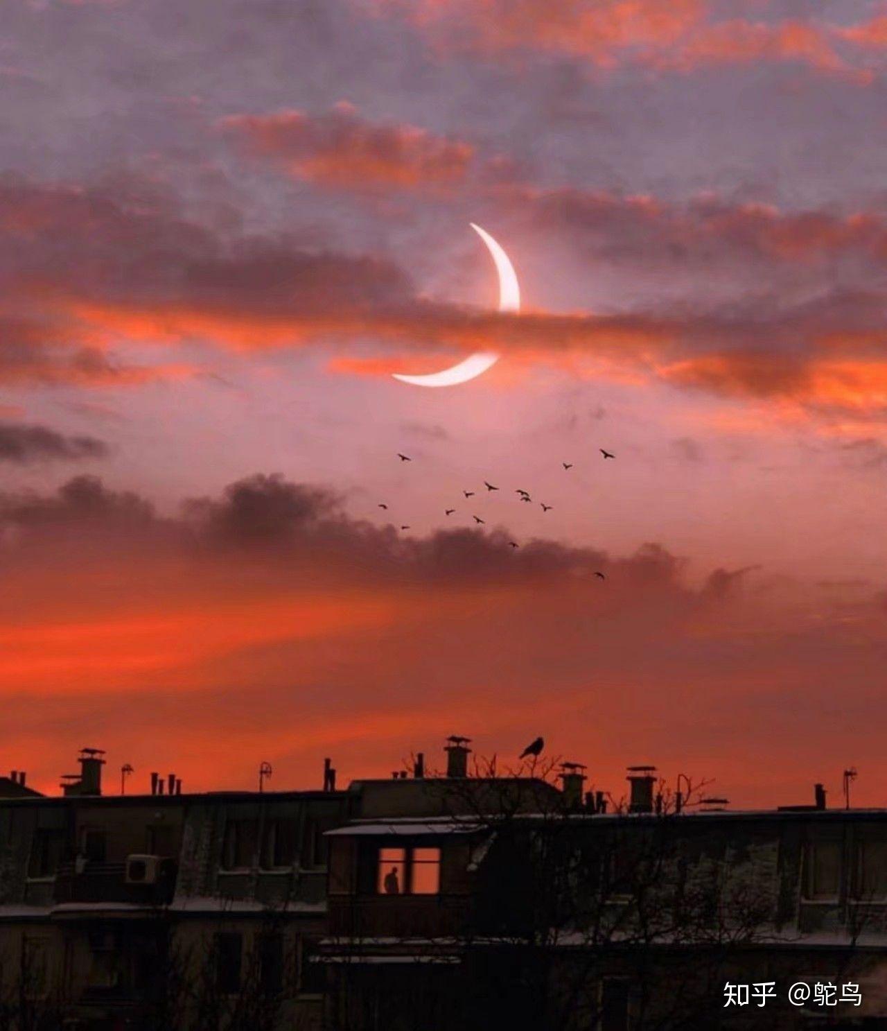 天空 软件_天空软件园免费下载_天空软件园下载