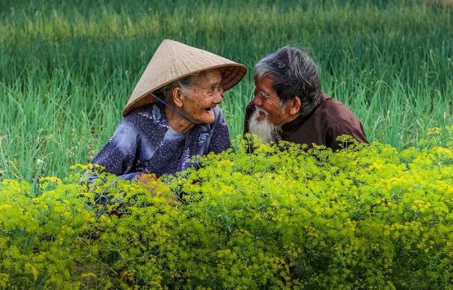 婚姻的起源下载_婚姻的起源完整版下载_起源婚姻完整版下载百度云