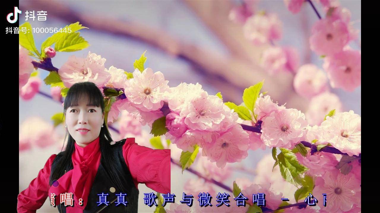 经典音乐游戏幼儿园_经典音乐游戏app_十大经典游戏音乐