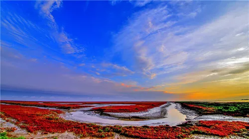 红海滩风景廊道攻略-红海滩风景廊道：大自然的调色盘，让人心动不已的旅游胜地