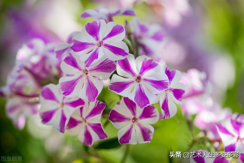 三明学院动漫学院_学院动画_三明学院海峡动漫学院