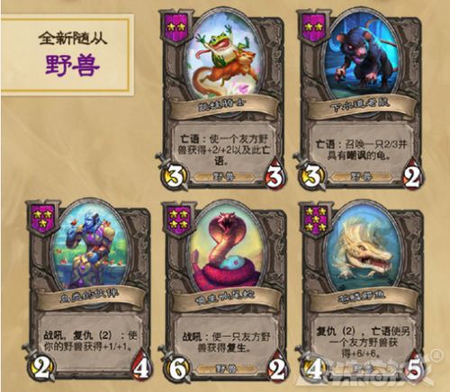 炉石酒馆2023年更新