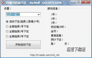 yy赛马,玩法、技巧与乐趣无限