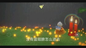 激伊甸园,探寻江苏省连云港市伊甸园景区的浪漫与自然之美
