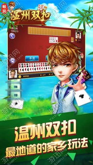 双扣游戏,源自浙江的扑克牌竞技盛宴