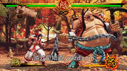侍魂晓修改不能用,侍魂晓修改无法使用的原因及影响