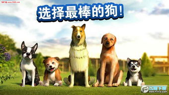 狗狗小游戏,陪伴你的欢乐时光