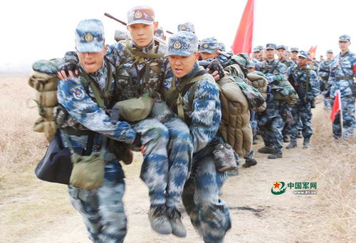 反恐行动新兵集结令2023,砺剑铸盾，共筑安全防线