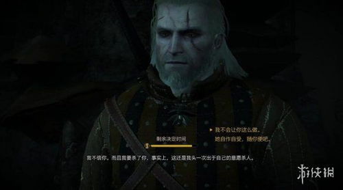 巫师3精髓是什么,狂猎——探寻游戏精髓的奇幻之旅