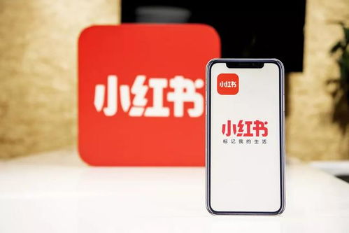 节奏神偷小红书