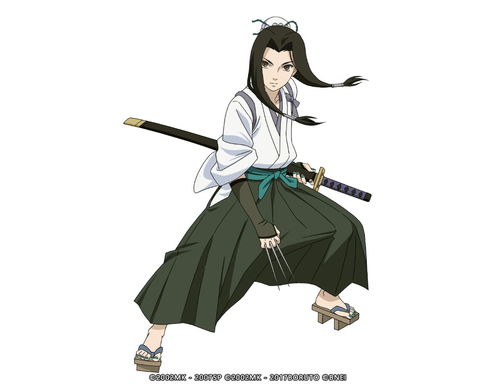 武士零人物,V的忠实执行者