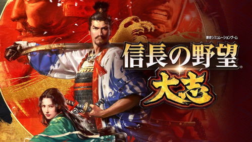信长之野望9pk,策略游戏的巅峰之作