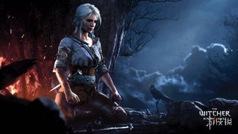 巫师3:狂猎》(the witcher 3: wild hunt)是由cd pr