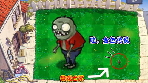 植物大战僵尸僵尸会不断地进化,僵尸的起源与进化