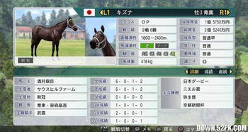 赛马大亨8 版本,赛马世界的巅峰之作
