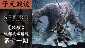 只狼重制版,影逝二度重制版——经典再临，体验升级