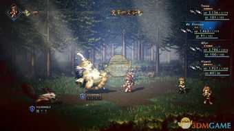 歧路旅人2星落之地,探索神秘与美丽的交汇点