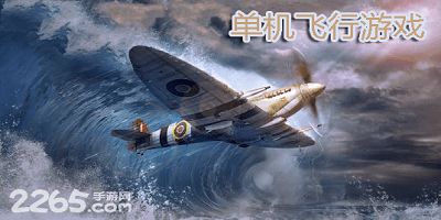 单机飞行游戏,翱翔虚拟天空，体验飞行乐趣