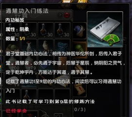 九阴真经安装问题,九阴真经安装问题全面解析