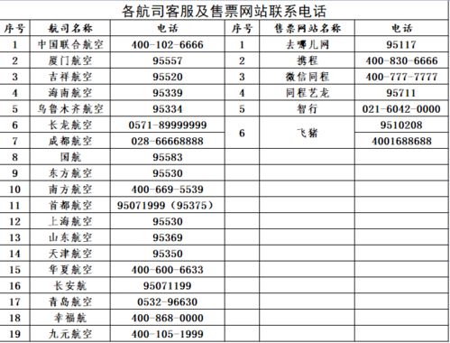 纸飞机 机场设置,轻松实现网络代理与语言切换