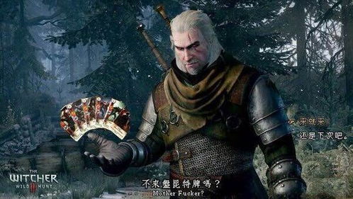巫师昆特牌只有多人吗,不仅仅是多人游戏