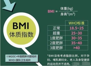 安卓制作bmi系统代码,基于安卓平台的BMI计算系统代码实现概述
