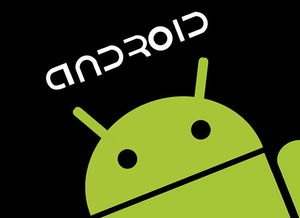 安卓怎么确认系统版本,安卓系统版本确认与适配策略解析