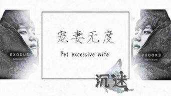 橙光游戏宠妻无度,霸道总裁的甜蜜宠爱