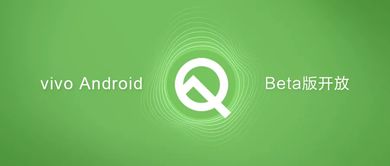 vivo的安卓q系统,解锁无限可能