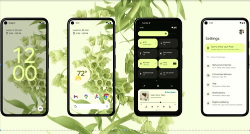 miuifortv是安卓系统么,揭秘这款安卓系统的独特魅力