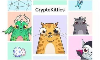 有一款游戏叫什么猫