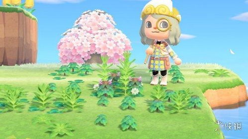 动森游戏除草,打造绿色家园的乐趣与挑战