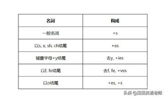 名词复数小游戏,轻松掌握英语名词复数规则