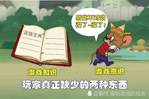 游戏和知识,游戏与知识融合之旅
