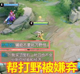 打野帮下游戏,共创辉煌战局