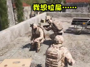 吃鸡拉屎游戏,揭秘“拉屎吃鸡”游戏新风尚