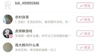 游戏互粉,如何通过王者荣耀互粉提升主页人气与社交影响力