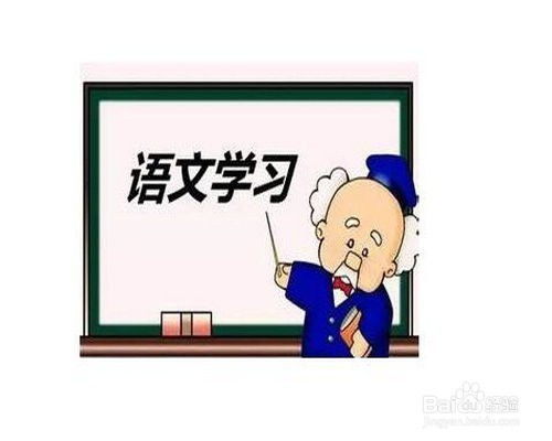 小学课堂导入游戏,小学课堂导入游戏创新实践