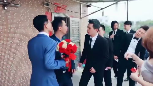 接吻传纸牌游戏,浪漫互动中的智慧对决