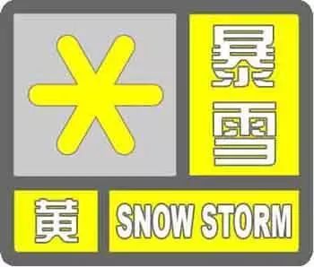 萝卜蹲游戏准备,萝卜蹲游戏欢乐指南