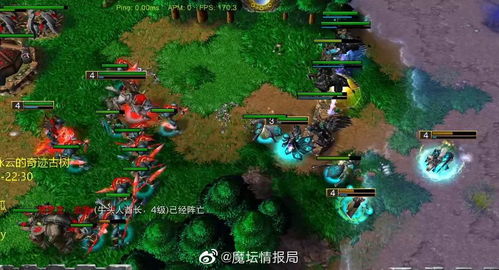 游戏c组,游戏竞技场上的风云变幻