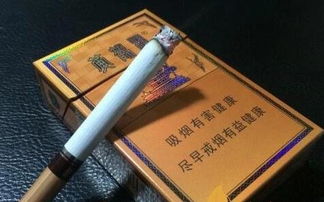 芙蓉王游戏,维新守护者尼古丁真与芙蓉王源的正邪较量