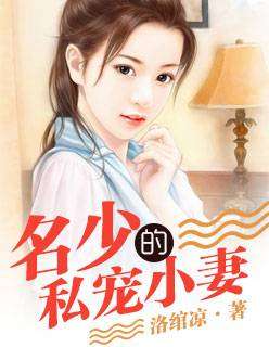 宠妻游戏名字,霸道总裁的甜蜜游戏