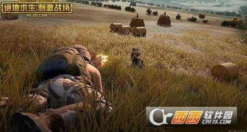 小游戏绝地求生,揭秘小游戏版绝地求生的生存法则