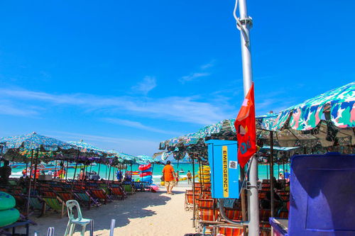 大象行走游戏,探索自然与和谐共生的奇幻之旅