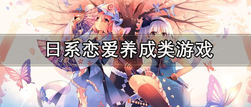 你喜欢做游戏,游戏狂热者的奇幻冒险之旅