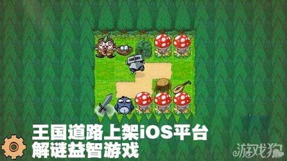 解谜游戏益智,探索智慧与乐趣的益智游戏世界