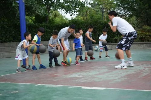 侧身运球小游戏,趣味小游戏带你轻松提升篮球技能