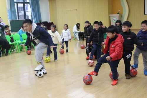 动画体育游戏,探索动画体育游戏的无限魅力