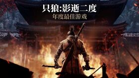 只狼存储游戏,影逝二度——探索忍者世界的存储奥秘